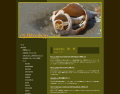 Sea Shells - web 
