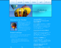 Balloon Fest - web 