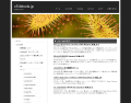 Professional - web 