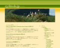 Innovation - web 